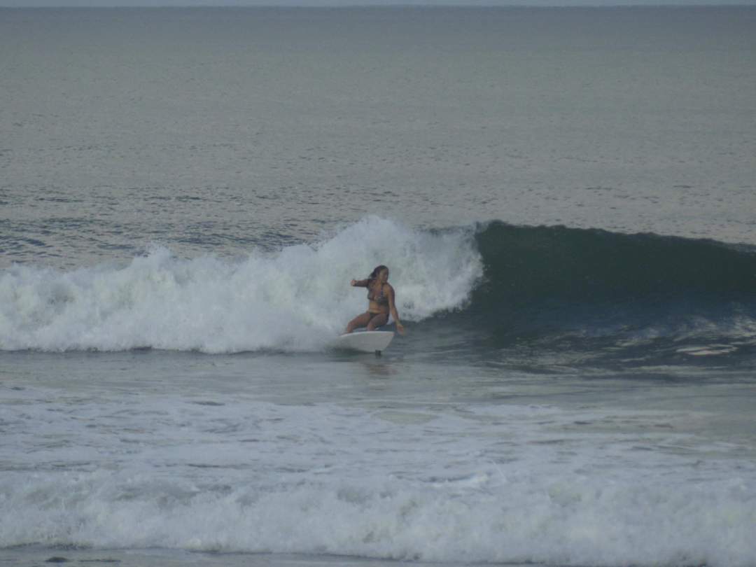 mi surfing school