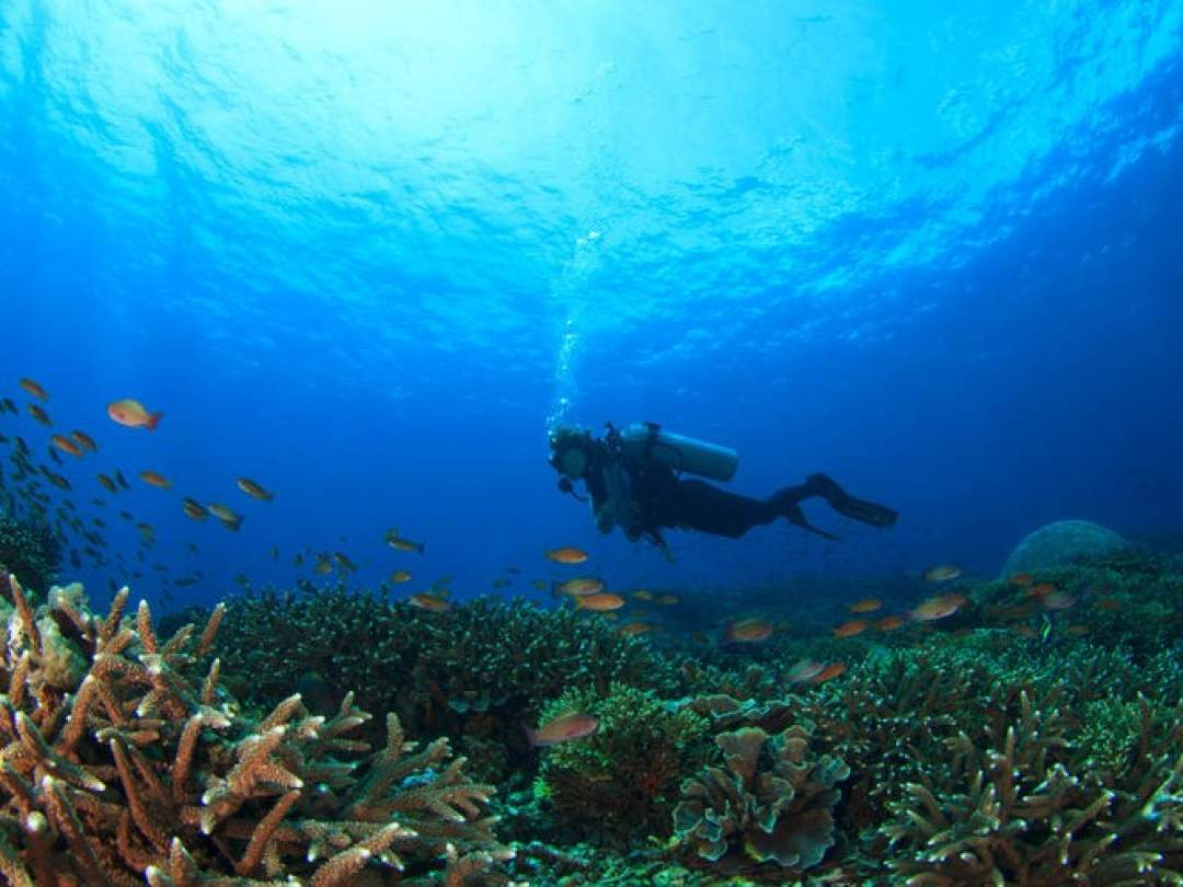 TEERA SCUBA VENTURES, OKINAWA