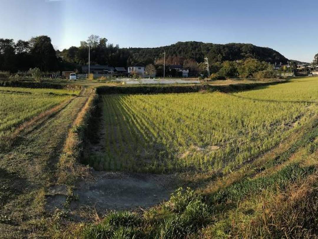 FARM BBQ morinomori