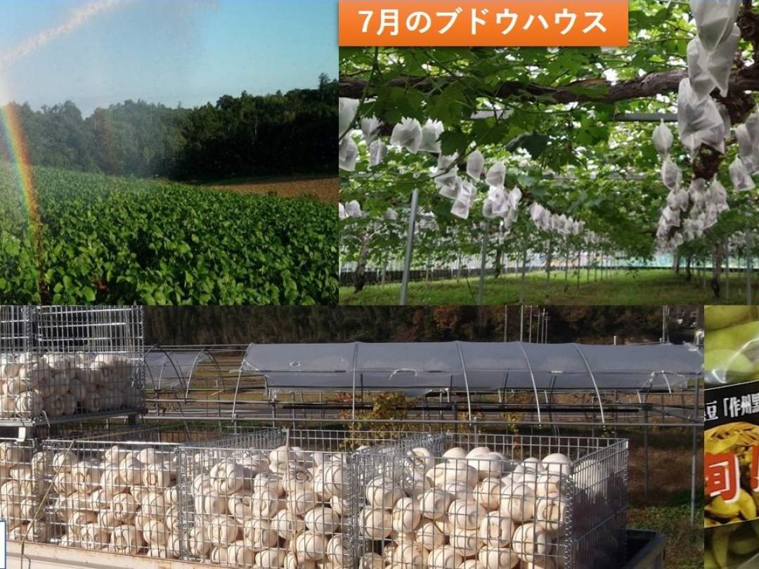 廣幡農園 hirohatafarm