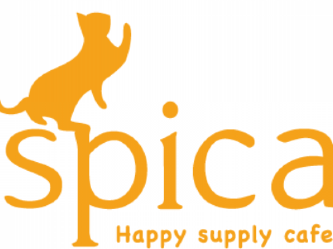 Happy supply cafe spica