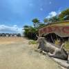 【沖縄・西表島】西表島の秘境＆絶景スポットを巡る！1日ガイド付きフォト観光ツアー