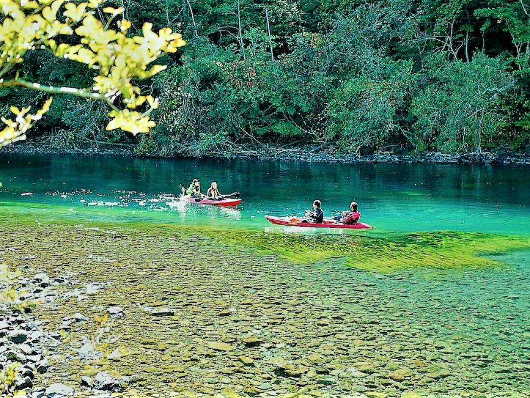 【早朝】［初心者歓迎］手ぶらでOK！北海道初上陸の底が透明なカヤックで、11年連続水質日本一位を誇った支笏湖と千歳川で早朝の静けさと幻想的な自然を感じる体験を。ファミリー・女性・カップル・にお勧め