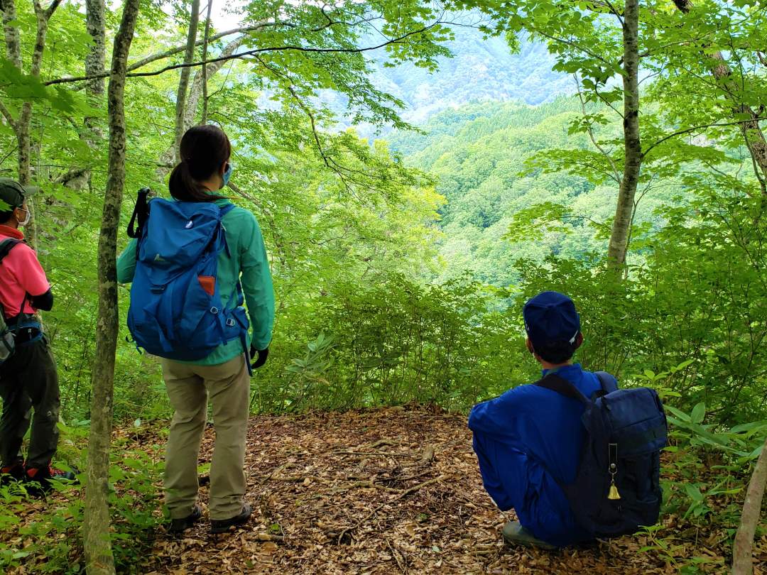 「国界の大ブナ」を目指す、只見町「癒しの森」ガイドトレッキング体験！