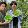 【岐阜・飛騨市】飛騨のミニトマトを収穫して救出せよ！お困りごと解決で農作物GET！【雑草ハンター】