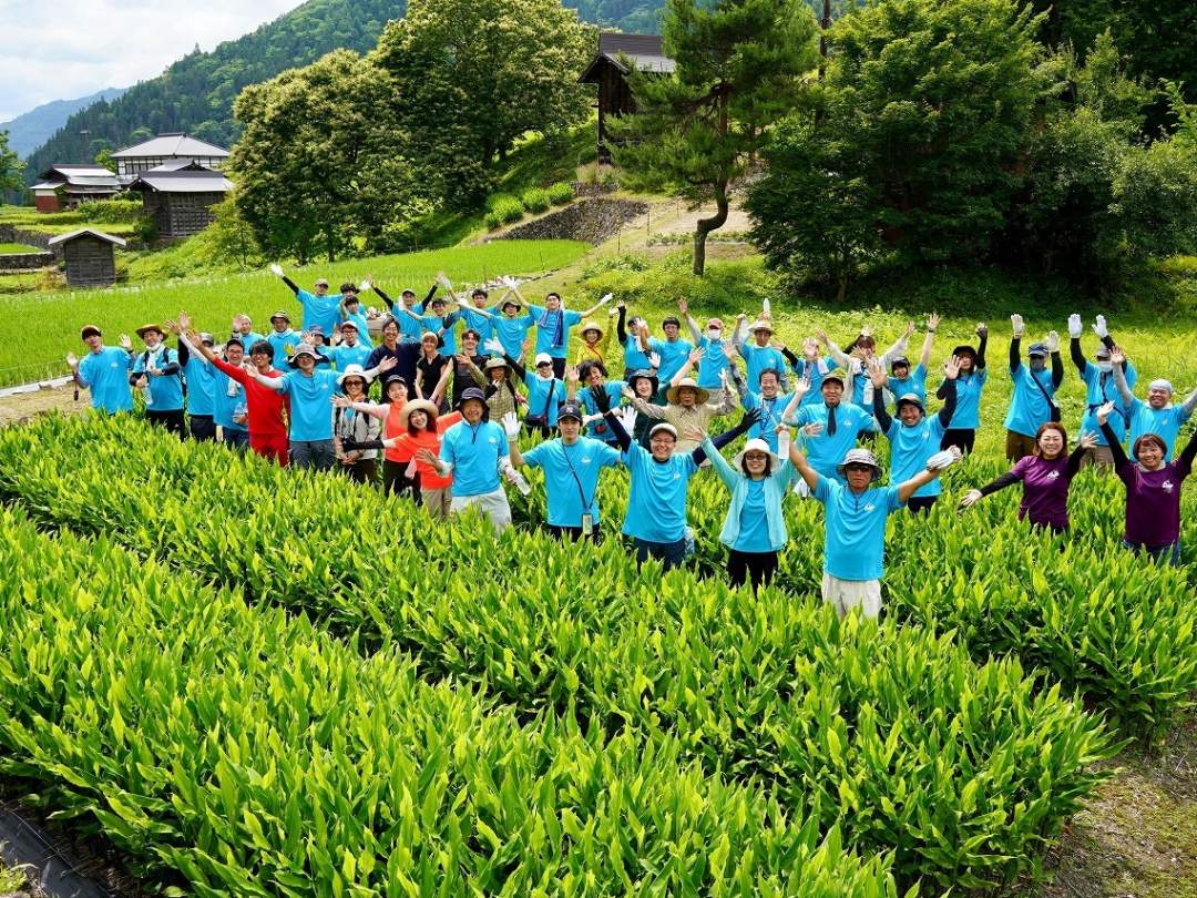 【岐阜・飛騨市】ぷっくり種蔵みょうがの収穫をしよう！『myみょうが畑プロジェクト2025』