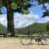 日本製の電動アシスト付き自転車です