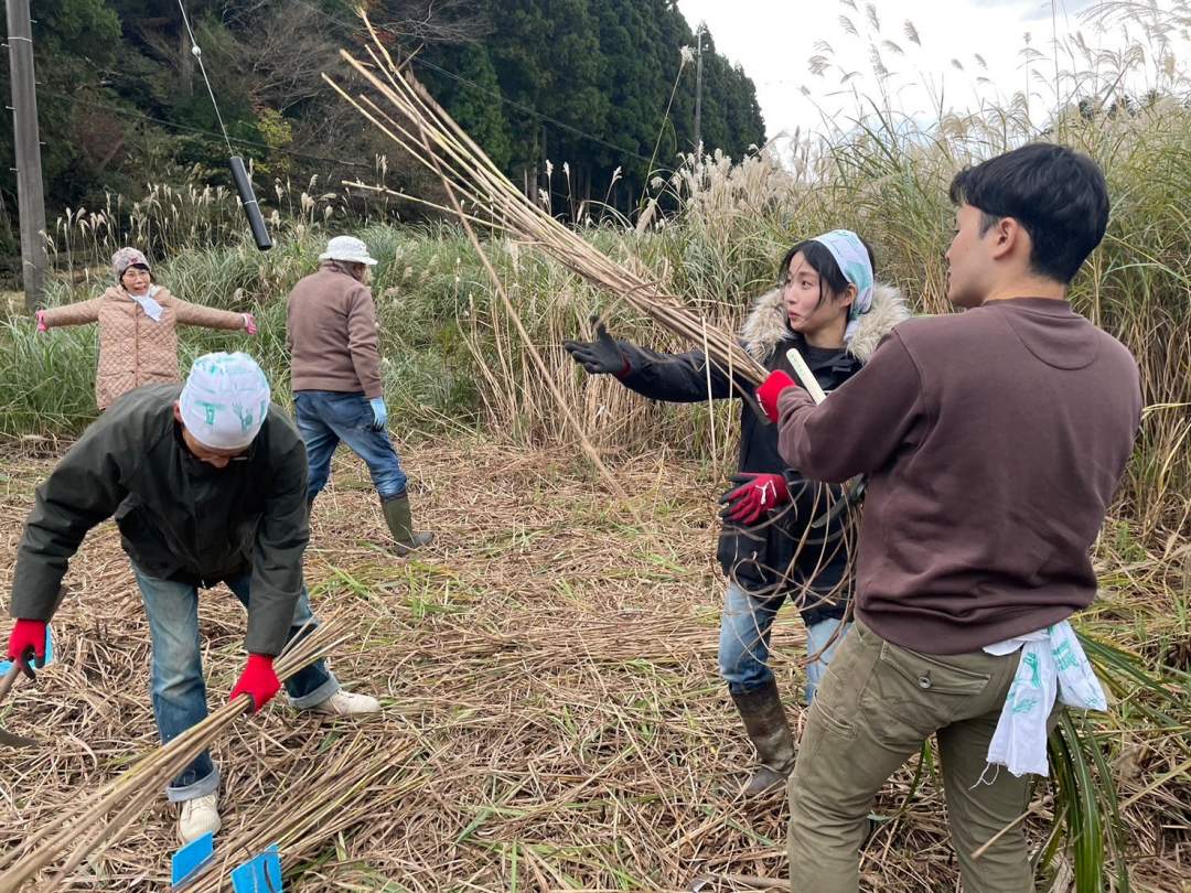 茅（かや）とは、ススキやヨシなどのストロー上の植物を切って乾燥させた、屋根の材料の事を言います。
