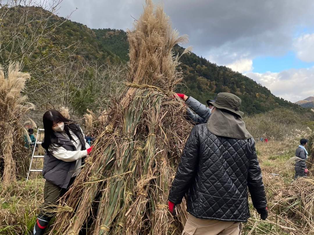 【京都・美山】里山文化に入り込む、日帰り茅刈り体験をしよう！『カヤ・キャン美山2025』