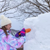 【福島・昭和村】昭和村で雪像づくり体験｜喰丸小で楽しむ冬のフォトジェニックな雪遊び！
