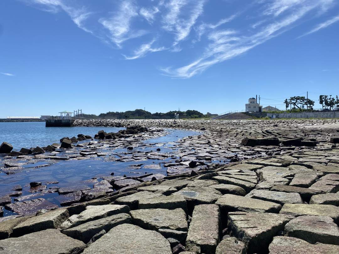【福島県相馬市松川浦】磯ガニ釣り、ちびっ子大興奮！（宿泊セットプラン　@亀屋旅館）