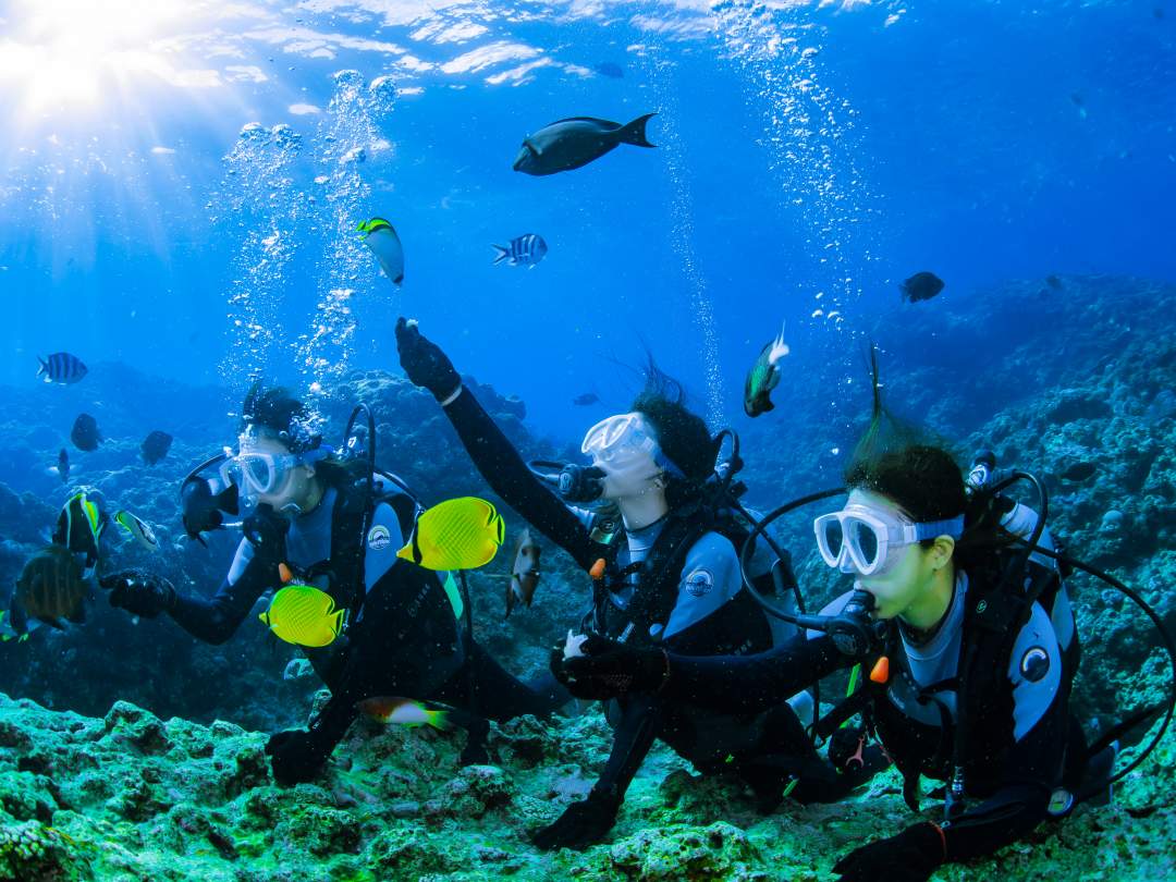 息をのむほど美しい青の洞窟。そこには、色とりどりの熱帯魚たちが暮らす、別世界が広がっています。泳げない方も、ご安心ください。はじめての体験ダイビングも安全に楽しめます。青の洞窟は、自然が作り出した芸術作品。この感動を、ぜひ体験してください。