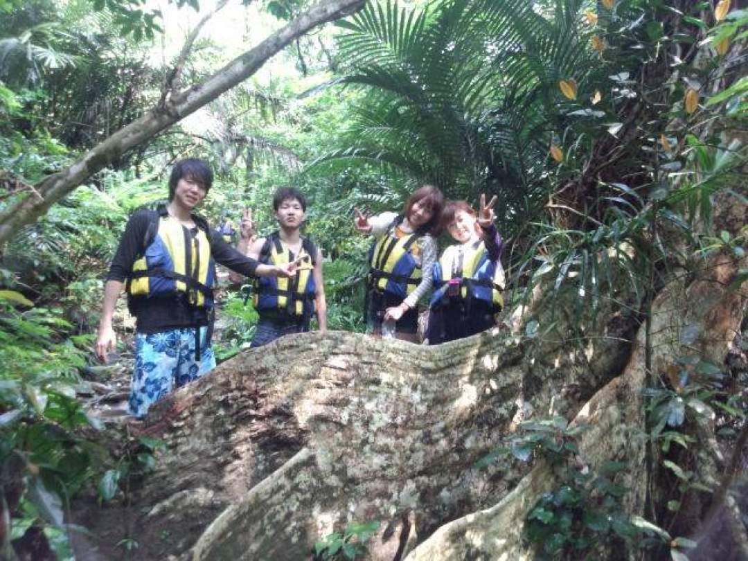 板根のサキシマスオウノキ