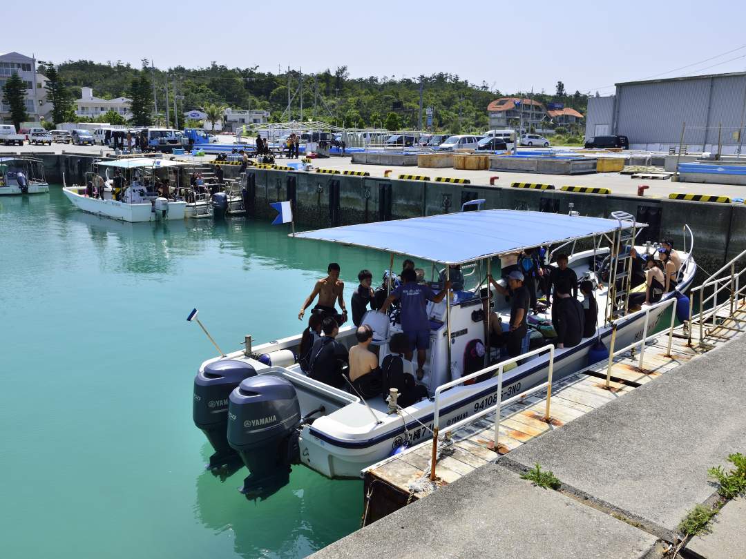 お店の目の前の港までは徒歩1分！器材の使い方から、海を安全に楽しむための注意点まで、分かりやすく説明しますので初めての方でも安心です。「魚がたくさん見たい！」「写真をたくさん撮ってほしい！」など、リクエストも大歓迎！お客様のご希望に合わせて、最高の体験をサポートします。
