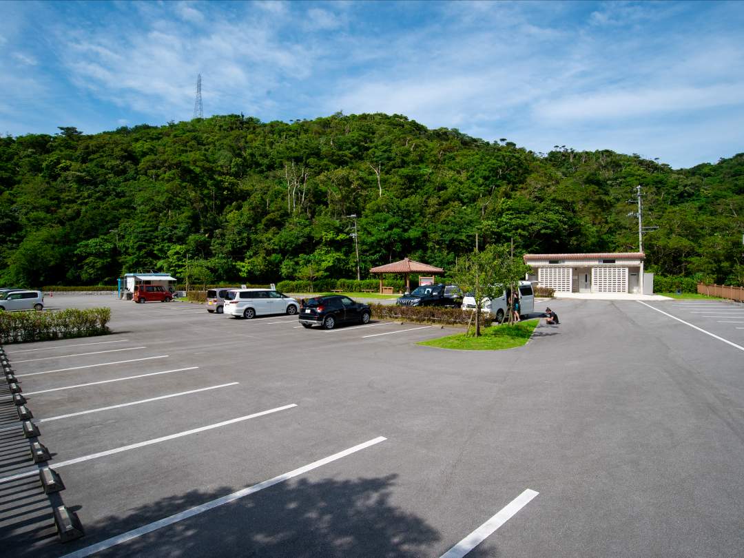 ター滝の専用駐車場に車を停めていただき、受付を行います。受付後、出発前にトイレを済ませ、お着替えを済ませてください。貴重品は車内で保管をお願いいたします。夏場は混雑が予想されますので、お時間に余裕をもってお早めにお集まりください。