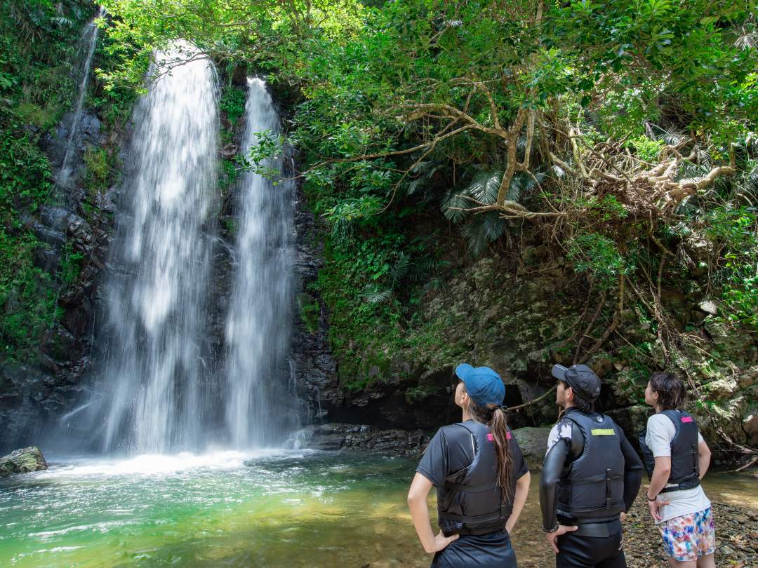 約30分のトレッキングで、ついにゴールのター滝に到着です！流れ落ちる滝は、まさに圧巻。間近で見る滝の迫力に、きっと息をのむことでしょう。滝の周辺には、マイナスイオンがたっぷり。深呼吸をして、天然のミストを浴びながら、癒やしのひとときをお過ごしください。