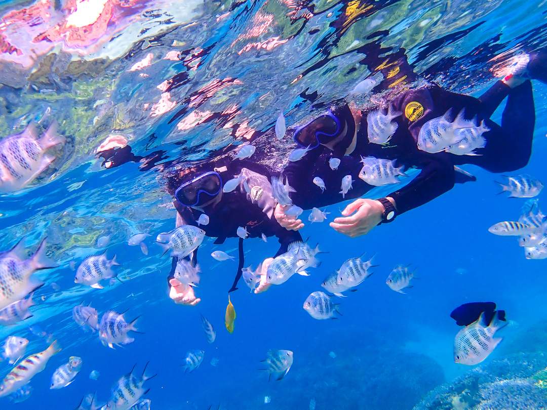 無人島に上陸したら、シュノーケルタイム！ 沖縄のきれいな海を、思う存分お楽しみください。熱帯魚と一緒に泳いだり、サンゴ礁を観察したり。 特別な思い出になること間違いなし。