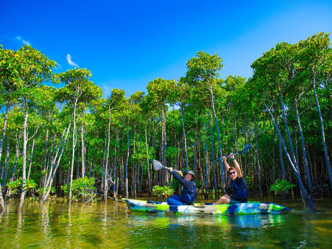 カヤックでマングローブの森を冒険！カヤックに乗り込み、静かな水面を滑るように進みながら、マングローブの森を探検しましょう。 複雑に絡み合う根、緑豊かな葉、そこに住む生き物たち。 不思議なマングローブの生態を間近で観察し、自然のパワーを感じてください。