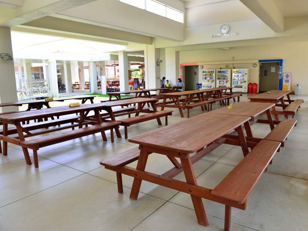 ツアー終了後は、コインシャワーやトイレを完備した「ネイチャーみらい館」にて、ごゆっくりとお過ごしください。ツアー中にガイドが撮影したお写真は、当日中にLINEにてお送りいたします。 旅の思い出を、ぜひSNSでシェアしてくださいね！ 冒険島をご利用頂きまして、誠にありがとうございました。