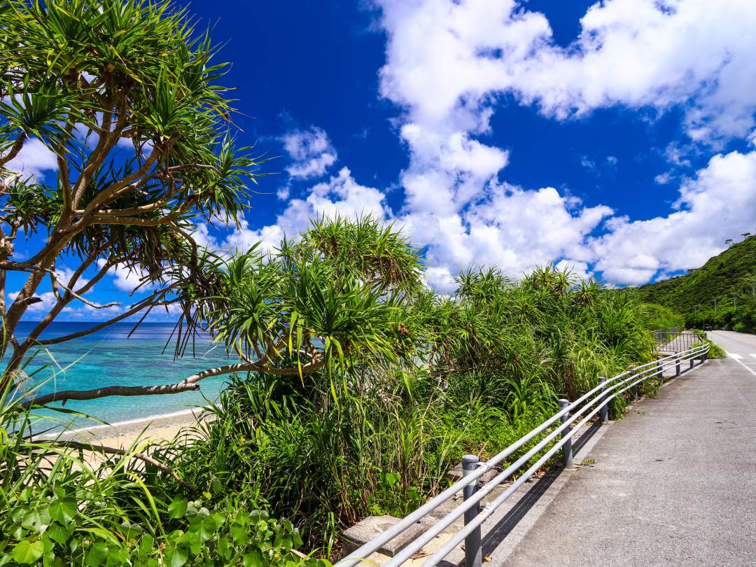 準備ができたら、いよいよ冒険の始まり！お店の車で約10分の開催地まで移動します。道中もワクワク気分を高める、沖縄でのドライブをお楽しみください。