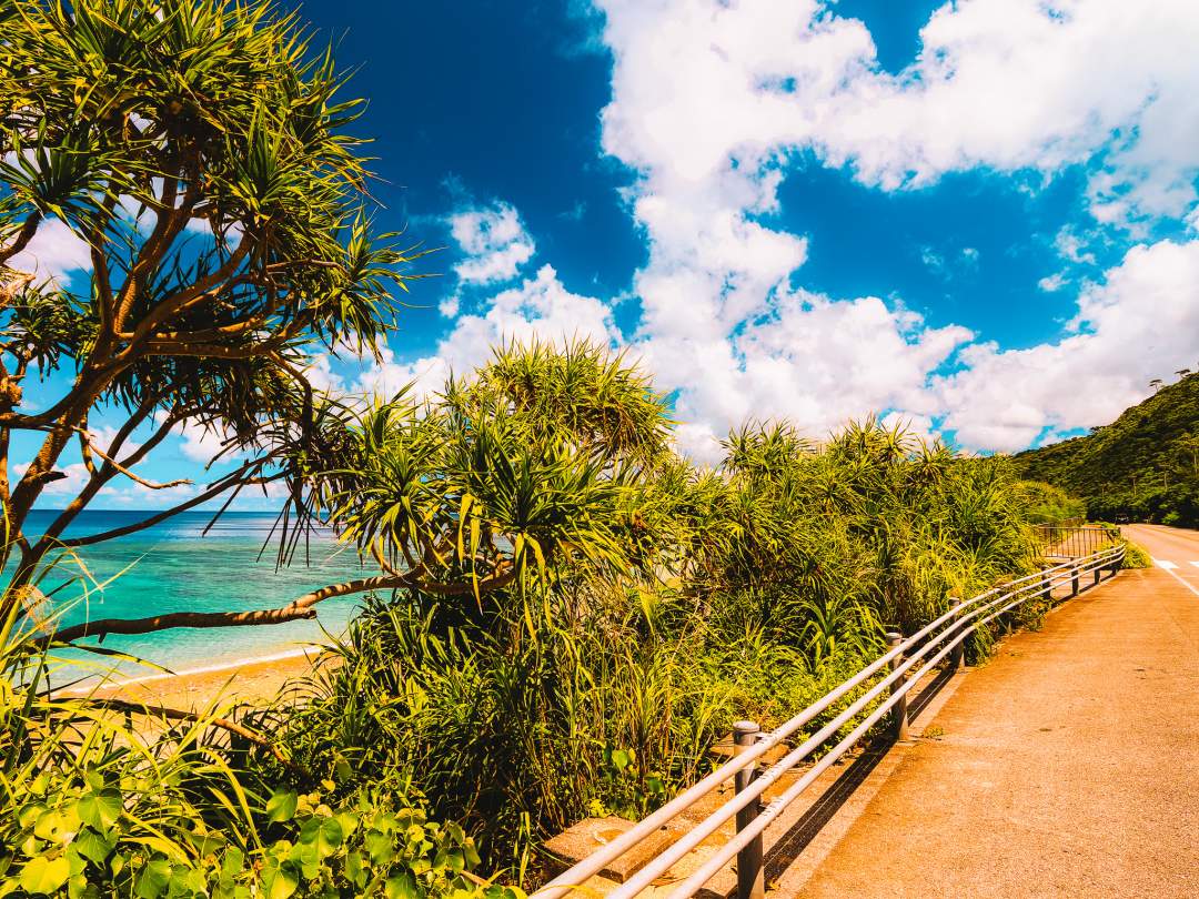 準備ができたら、いよいよ冒険の始まり！お店の車で約10分の開催地まで移動します。道中もワクワク気分を高める、沖縄でのドライブをお楽しみください。