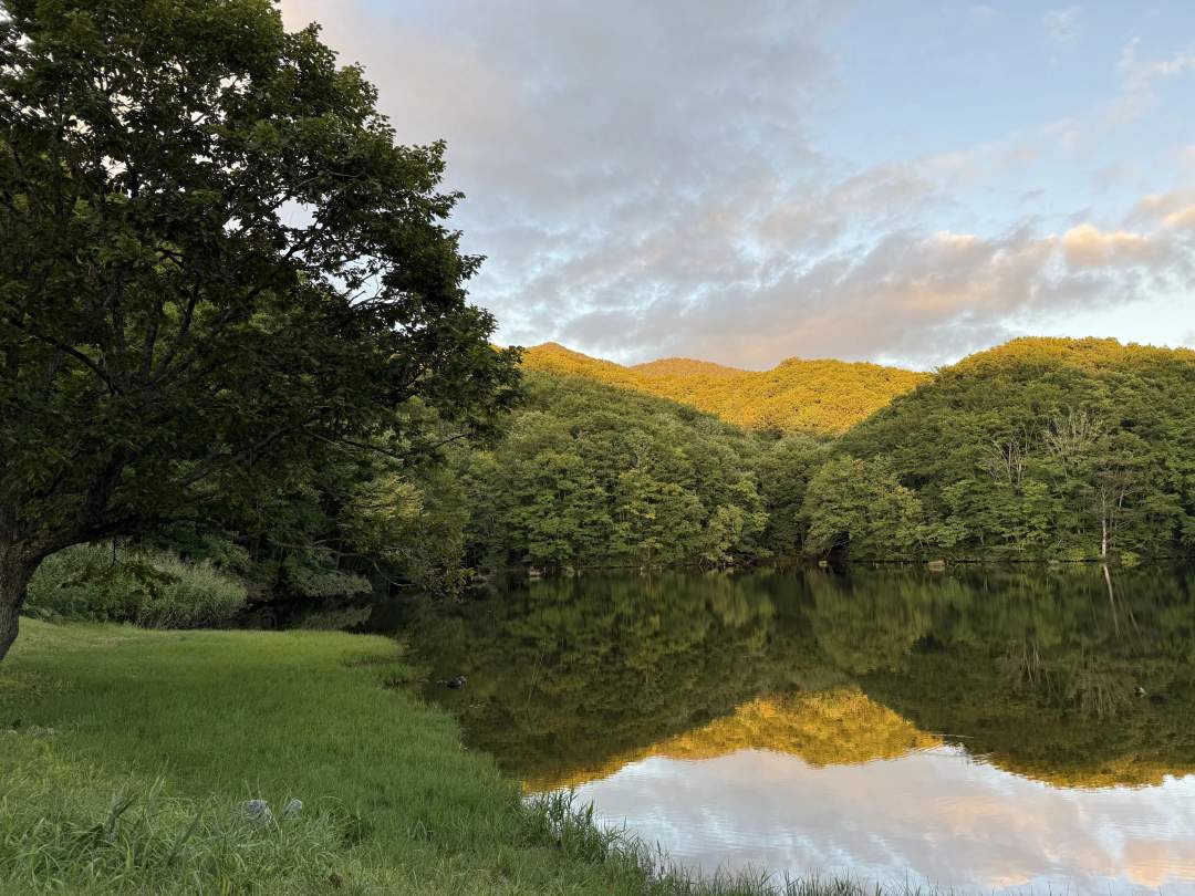 その季節ごとのスポットをご案内します。
紅葉の時期ならば写真家のメッカ「曲沢沼」などを。
※行程・立ち寄り先はご希望に応じて自由に変更できます。