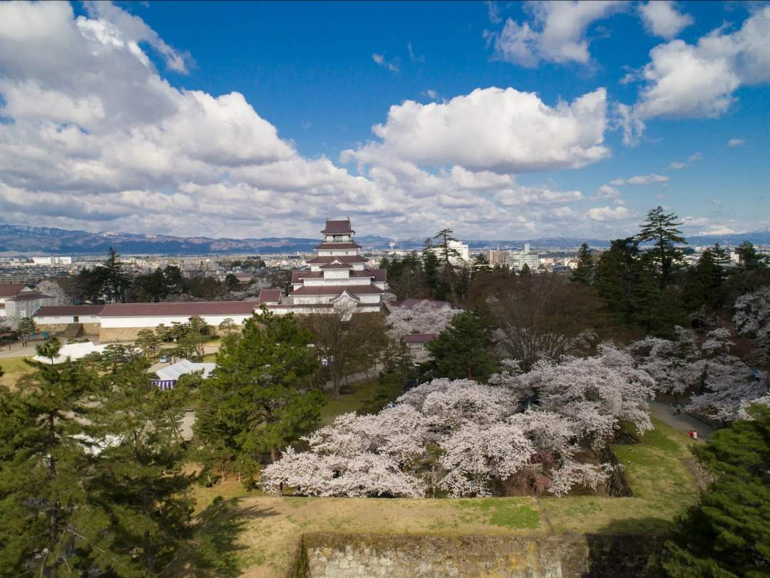 明治7年（1874）までに天守閣をはじめとするすべての建物が取り壊されましたが、昭和40年（1965）に天守閣が再建され、平成に入り茶室や隅櫓も復元されました。平成23年（2011）には、屋根瓦が幕末当時の赤瓦にふき替えられ往時の美しさが際立ちます。

9時頃にホテル等指定された場所へお迎えに参ります。