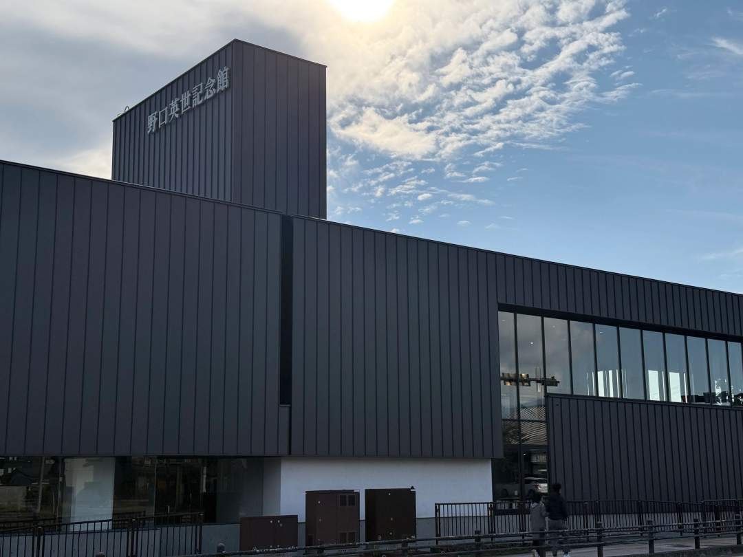 感染症ミュージアムとセットになっており見ごたえ十分。生家がそのまま残っており、母と英世の絆を感じることができます。