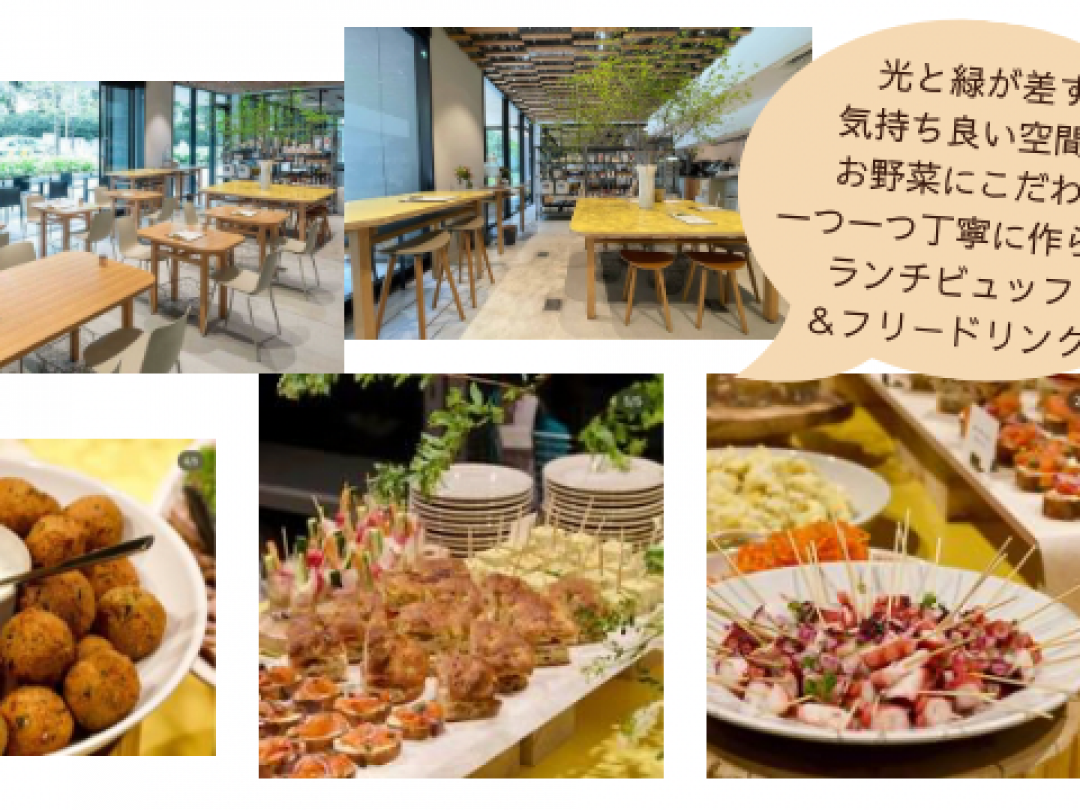 光と緑が差す開放的で気持ち良い空間で
お野菜にこだわり一つ一つ丁寧に作られたブュッフェ＆フリードリンクをお楽しみいただきます♡