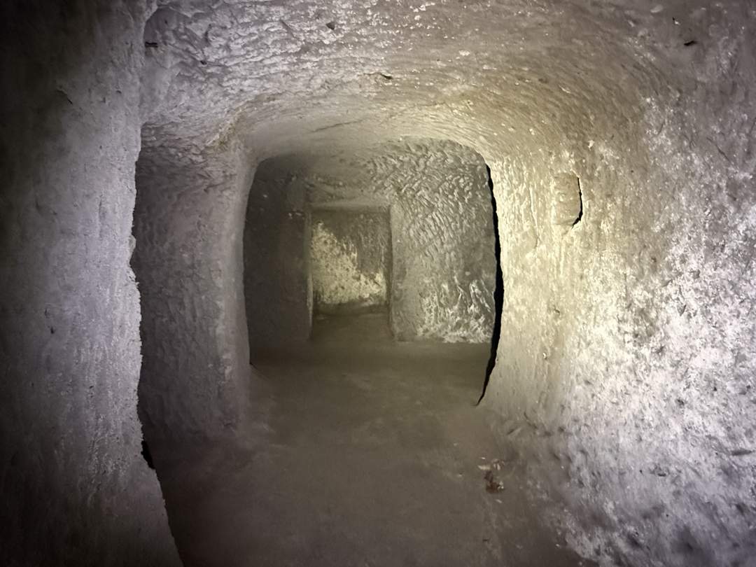 希望者のみ 別途見学料1,000円/人 
現在の平和を考えられる貴重な場所。