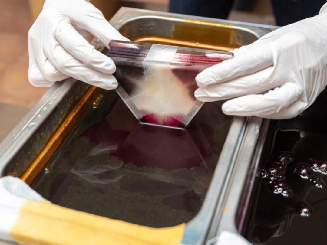 【大阪・堺】百舌鳥古墳群ガイドツアー｜気球に乗って空から古墳見学＆堺伝統の絞り染め体験付き