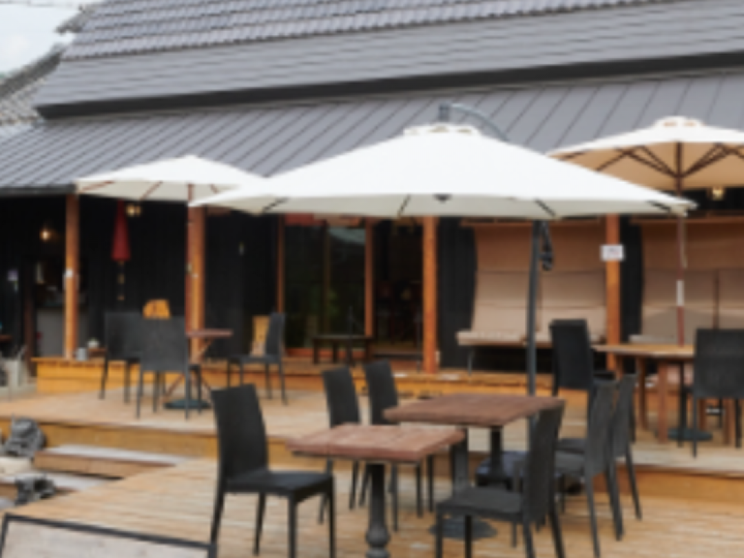 【大阪・八尾】枝豆収穫体験と古民家BBQ｜恩智・浅井農園×登録有形文化財「茶吉庵」ランチ付き