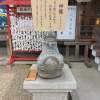 【大阪・八尾】枝豆収穫体験と茶吉庵ゆくるカフェのランチ｜恩智・浅井農園×登録有形文化財「茶吉庵」ランチ付き