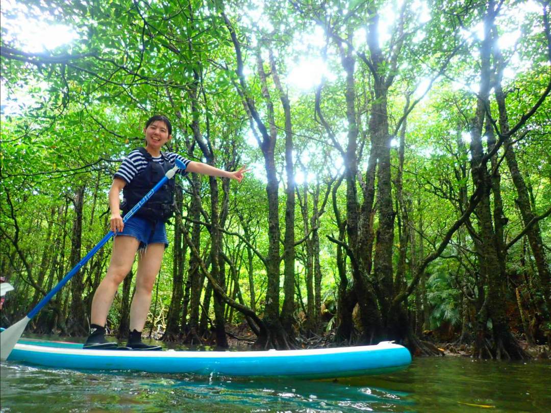 ド迫力のマングローブの川でSUP/カヌーを選択し体験できます！