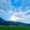 昭和村の田園風景
