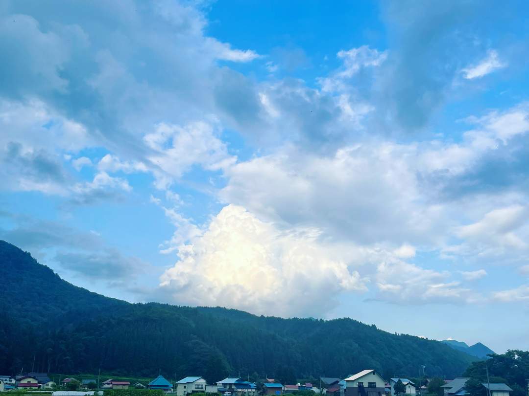 水の綺麗な昭和村では美味しいお米が育ちます