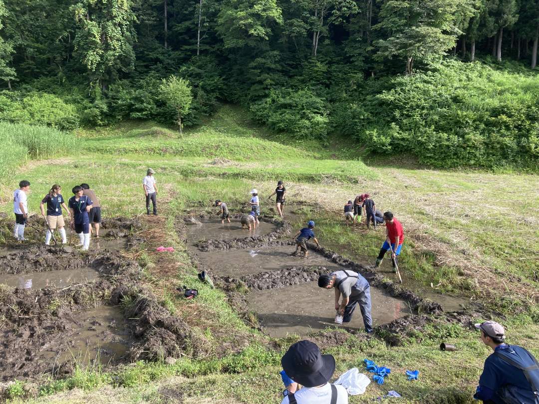 とにかく掘る。休む。そして掘る。水路の接続も忘れずに