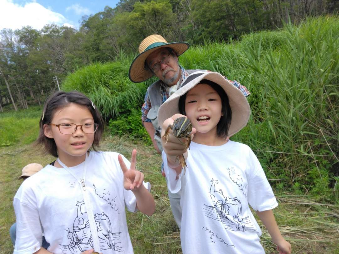 地域によってはトノサマガエルも絶滅危惧種