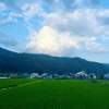 昭和村の田園風景