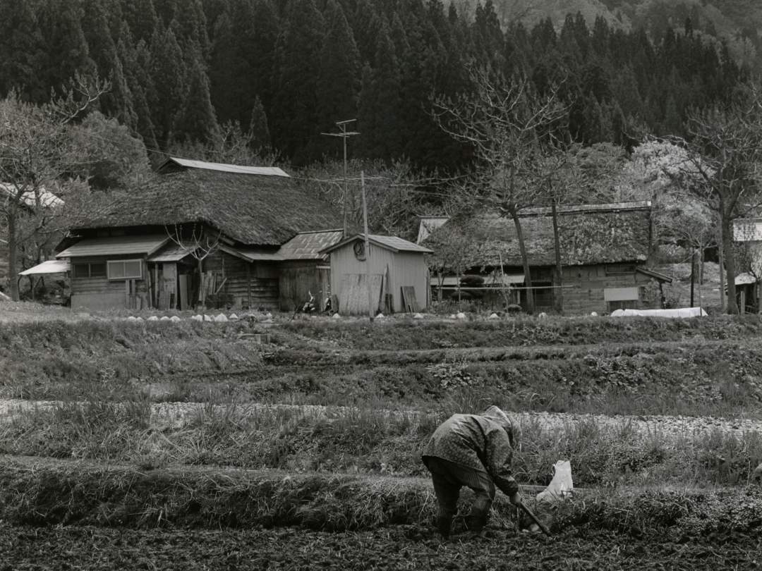1977年5月撮影
今は珍しくなった茅葺き屋根の家屋が写っています。