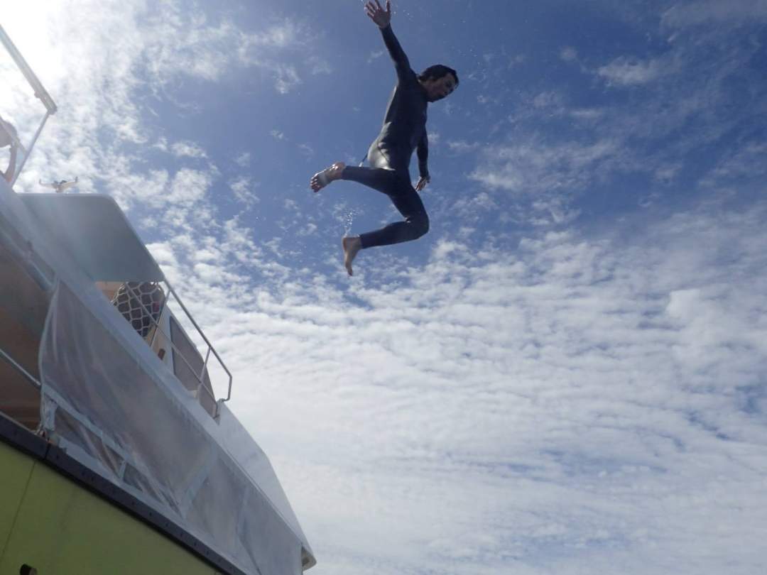 船からのジャンプ、飛び放題☆