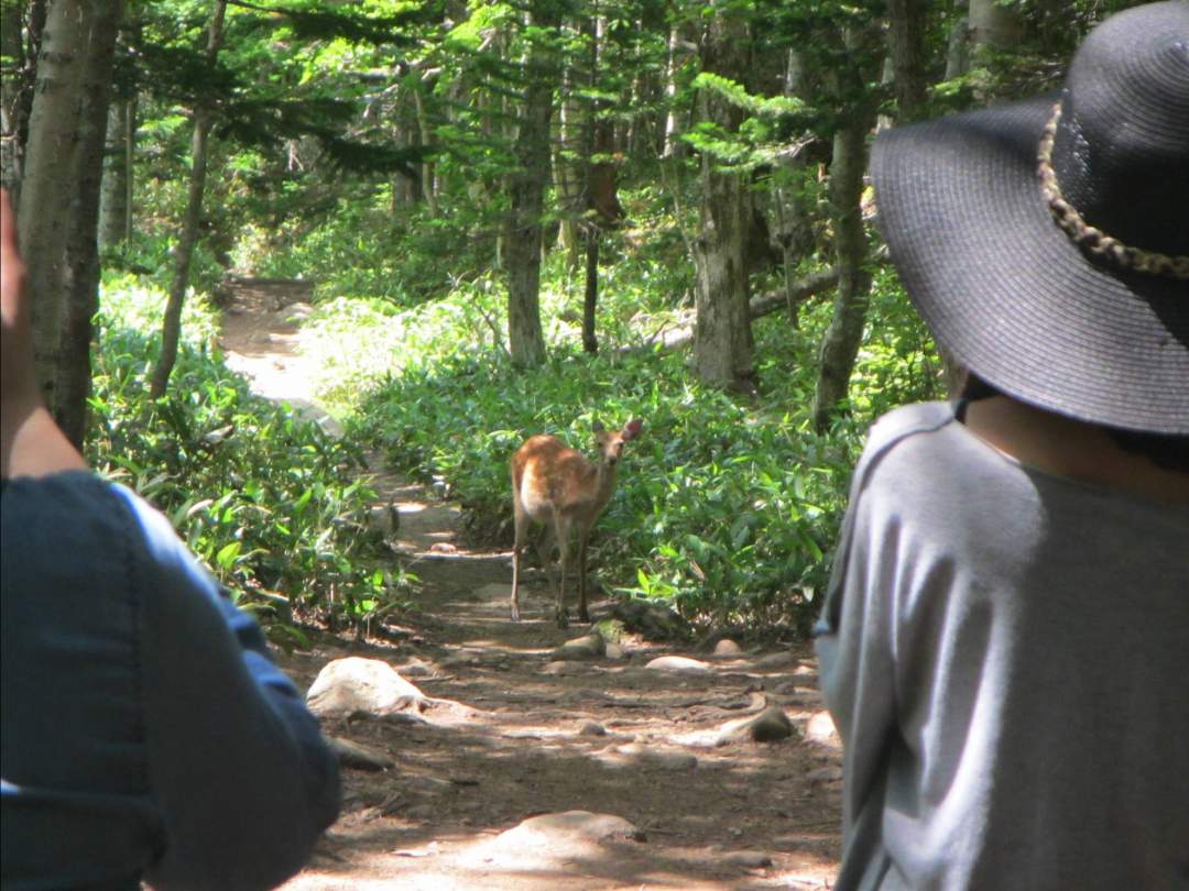 野生動物との遭遇!!