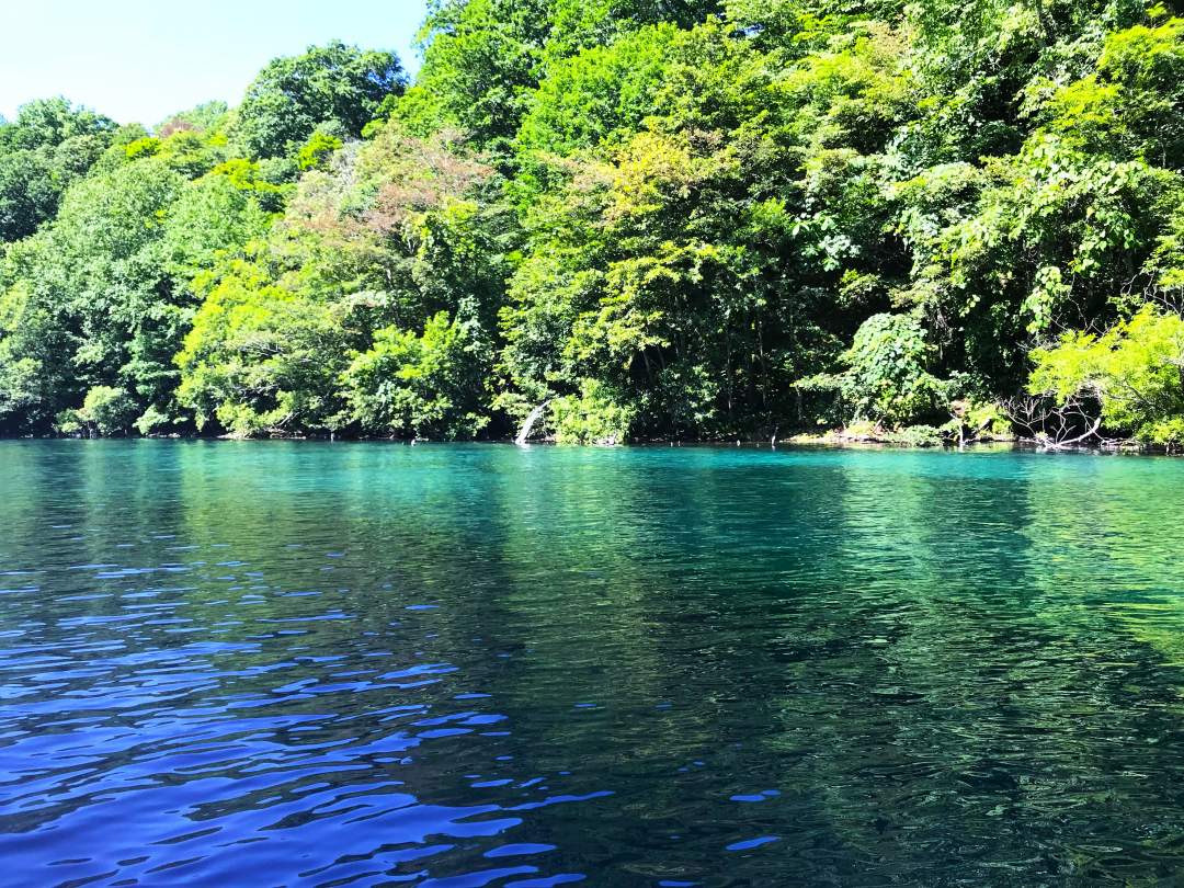 水面が凪ると湖面が鏡のように透き通ります。