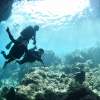 ボートが断然お得！ラクチン！青の洞窟体験ダイビング｜GoPro写真動画【無制限撮影は当店だけ】・シャワー・ドライヤー・駐車場すべて無料！1組貸切制