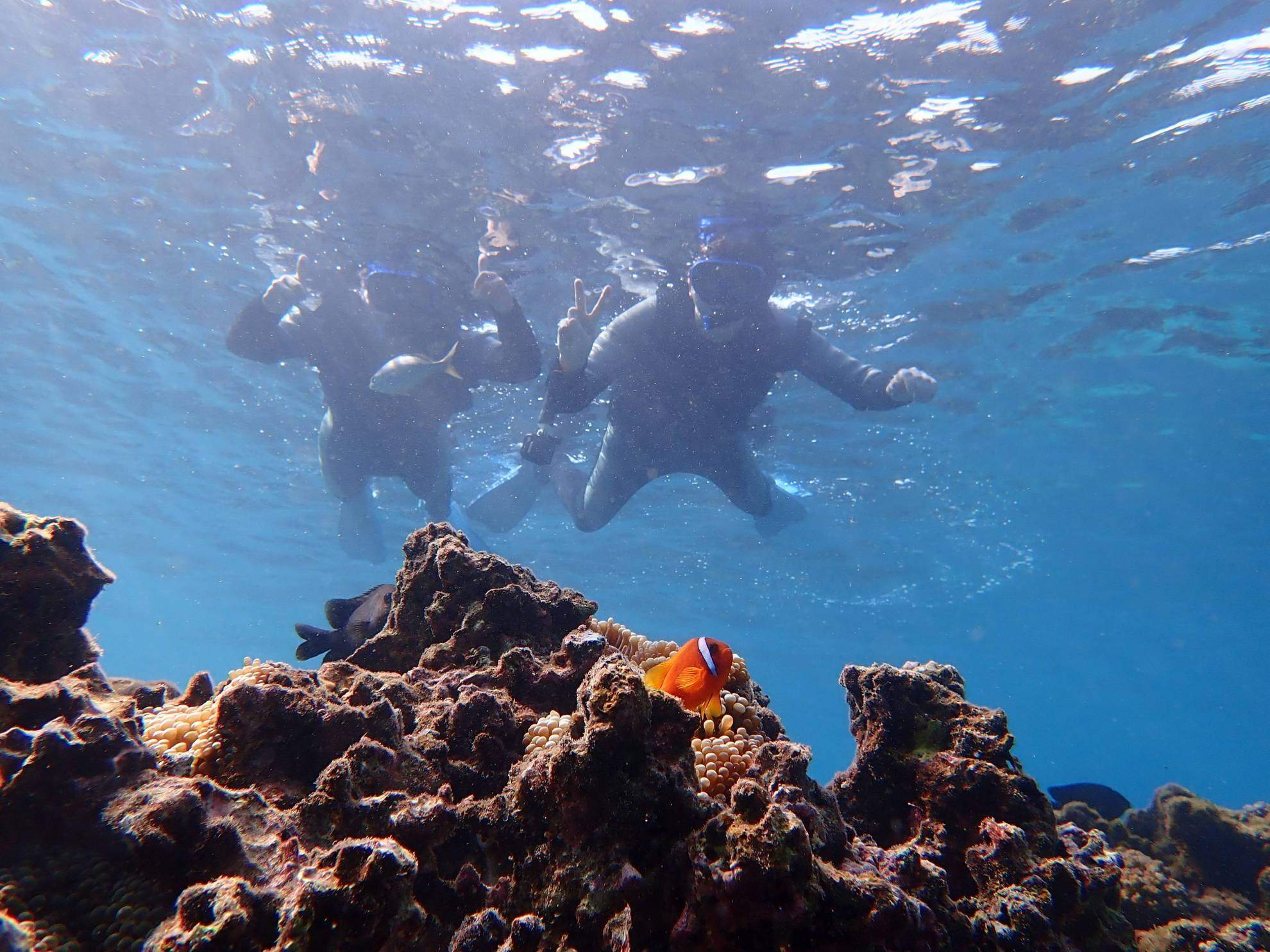 沖縄 宮古島 自然の水族館 色とりどりの魚たちと泳ぐトロピカルシュノーケリング 写真データ無料 の予約 宮古島 Adventure Pipi 沖縄県離島 シェアベースマッチング 地域の体験プラン イベント 商品のwebマッチングサイト