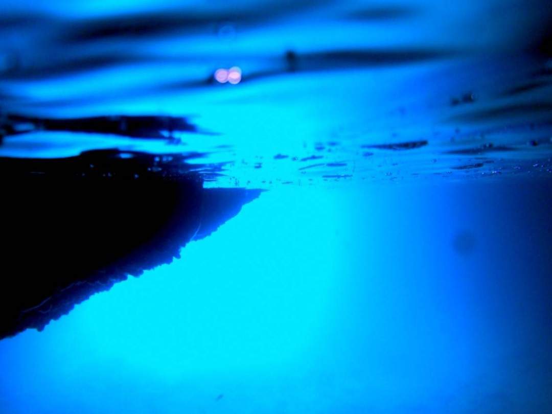 洞窟の中は、水面・水中青一色！！ ウニロードと呼ばれる所には、水中を覗くとウニやアジの群れなど、水中生物に出会えます。