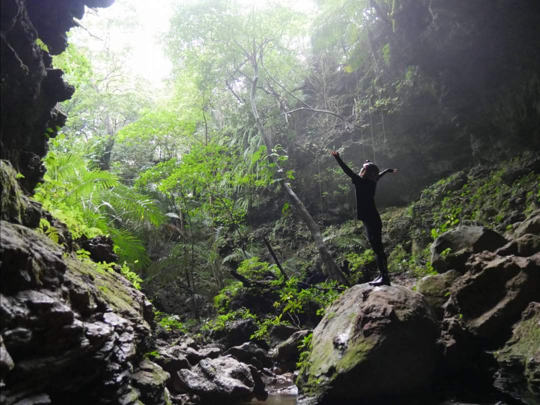 太古の昔から変わらぬジャングルと洞窟！ 西表島の約90％はジャングル！！全身で西表島の自然を感じましょう！
