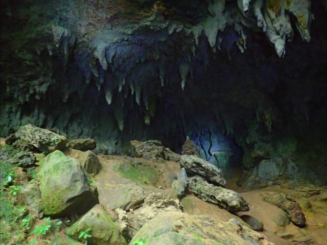 ケイビング（鍾乳洞探検） 大小さまざまな洞窟を探検！手つかずの自然があなたを待っています！