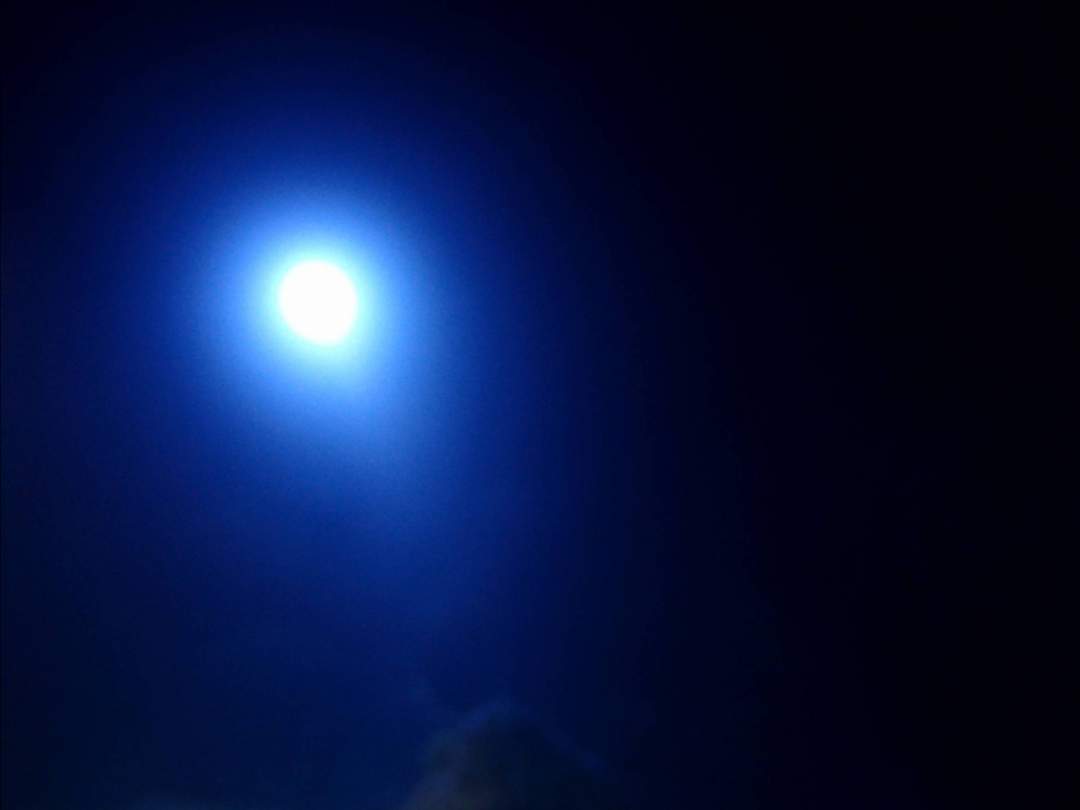 月や流れ星を浮きながら見てみよう