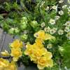 お花のある暮らしで…潤いと彩りの時を！